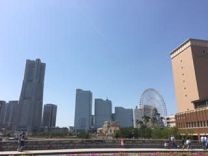 e0124690_150417.png