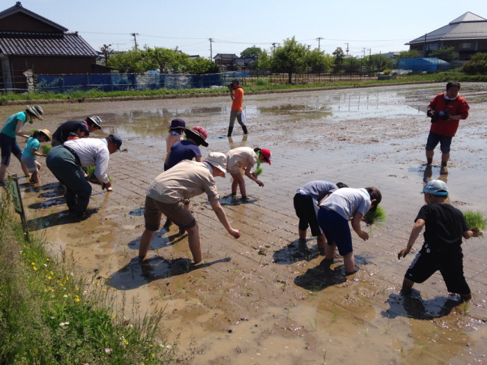 田んぼの学校_b0349892_14405038.jpg