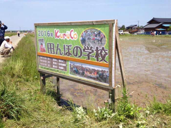 田んぼの学校_b0349892_14405099.jpg