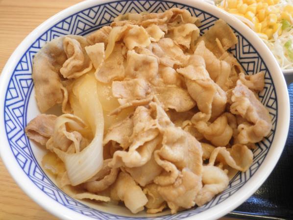 吉野家の豚丼　　　　　　長田五番町店_c0118393_10461677.jpg