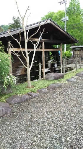 d0291493_15112555.jpg