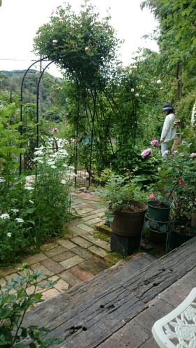オーブンガーデンin光_e0280703_14215711.jpg