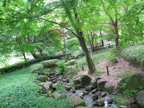 c0011204_19233252.jpg