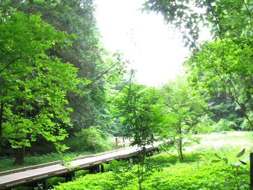 c0011204_1926386.jpg