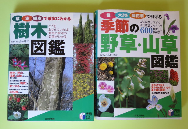 役立つ筈の植物図鑑なれど_a0214206_12192052.jpg