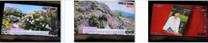f0231709_027177.gif