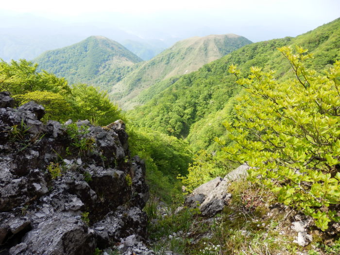三瓶山を駆ける_f0219710_10060708.jpg