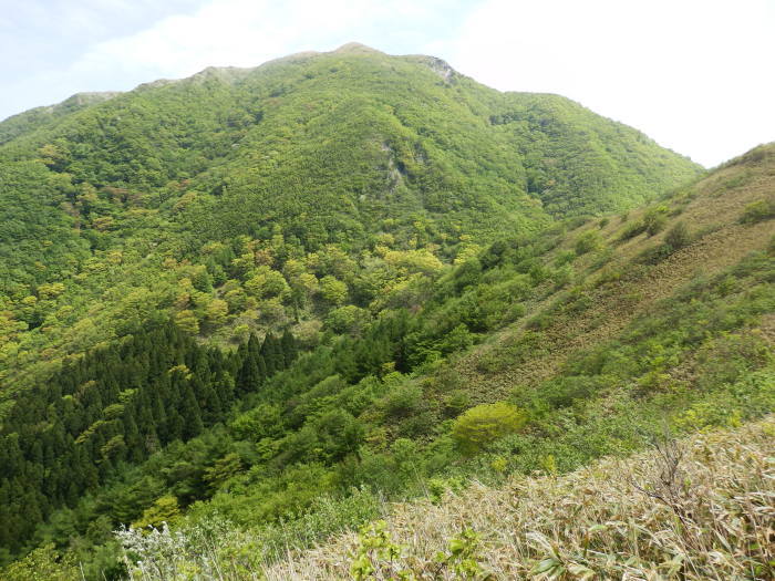 三瓶山を駆ける_f0219710_10435793.jpg