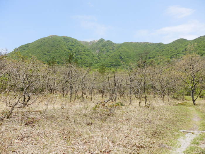 三瓶山を駆ける_f0219710_11083292.jpg