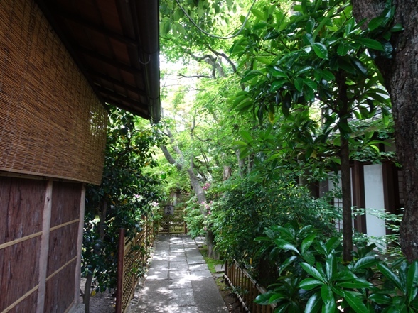 e0033713_19071566.jpg