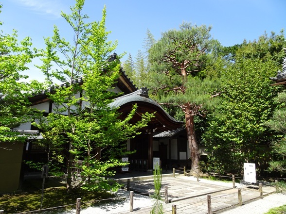 e0033713_19385688.jpg