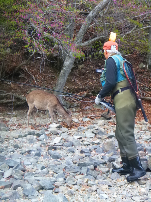 2016.5  中禅寺湖釣行！　パーティーだよ(笑）_a0236914_7294448.jpg