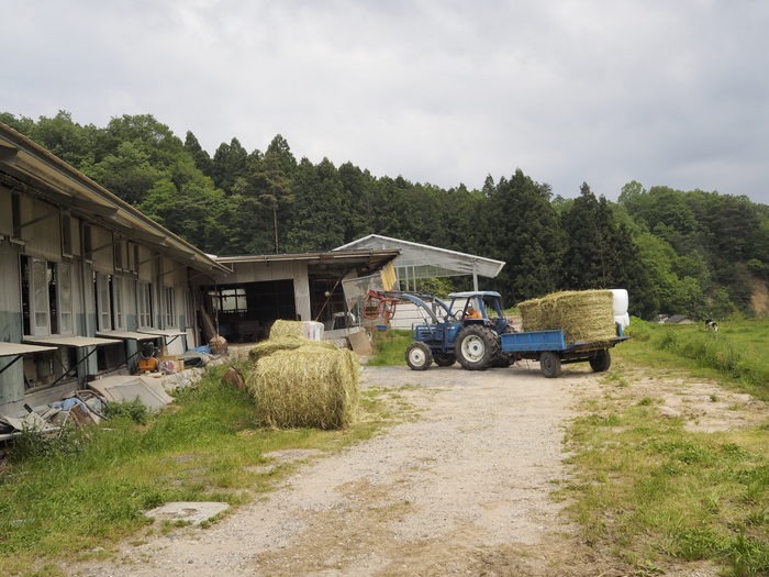 大上牧場＆阿弥陀山など_c0116915_2318915.jpg