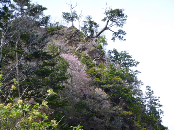 日本百名山　石鎚山 (1,982M)   天狗岳に登る_d0170615_1613950.jpg