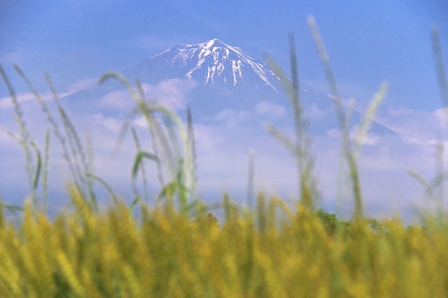 a0087818_14235492.jpg
