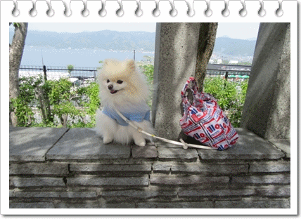 b0167519_1494698.gif