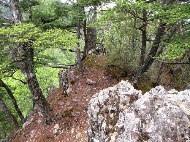 上野村　シャクナゲ咲く焼岩から宗四郎山　　　　　Yakeiwa to Mount Soshiro in Ueno, Gunma_f0308721_16533039.jpg