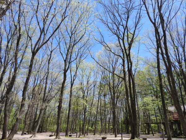 b0174425_09573910.jpg