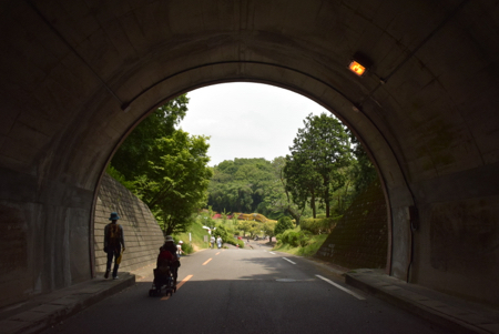 こどもの国へ行きました & 写真撮影トレーニング_a0284626_21295994.jpg