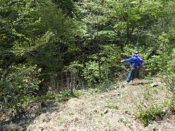 短角牛放牧地の牧柵修理2016・安家にて_b0206037_22002866.jpg