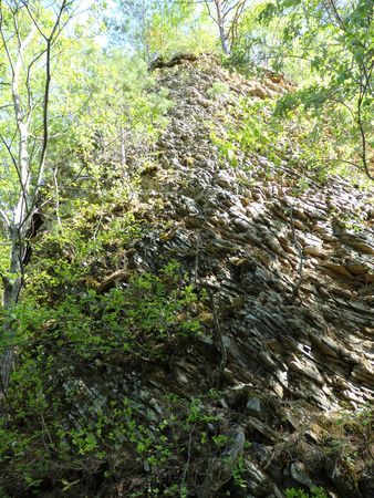 短角牛放牧地の牧柵修理2016・安家にて_b0206037_22025748.jpg