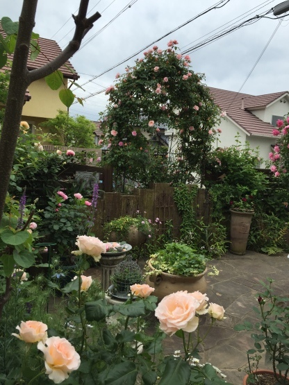 d0191844_21051396.jpeg