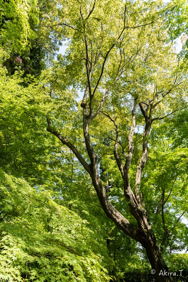 f0152550_21443663.jpg