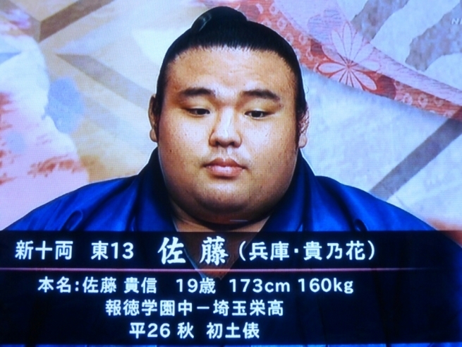 今場所の化粧まわし 16夏場所 いちから日記