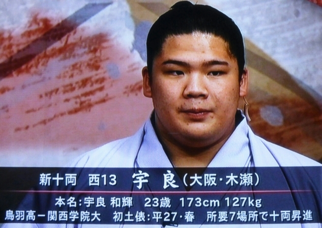 今場所の化粧まわし 16夏場所 いちから日記