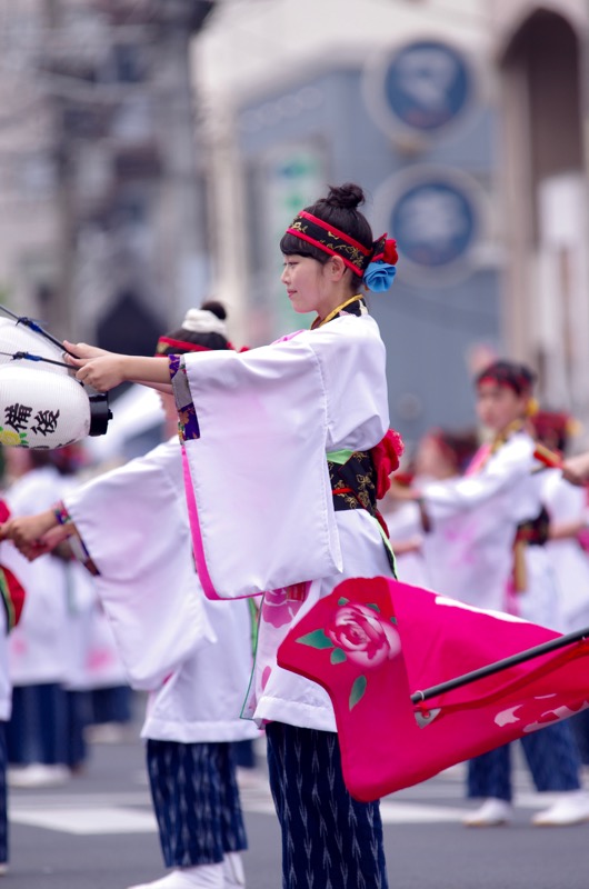 ２０１６福山ばら祭その４（備後しんいち踊り隊）_a0009554_18381092.jpg