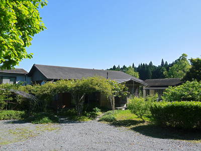 熊本梨　本藤果樹園　結果枝の樹勢に合わせた2次摘果の話_a0254656_1912610.jpg