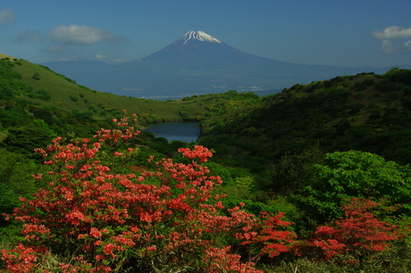 最新富士山の撮影記録_d0229560_1153351.jpg