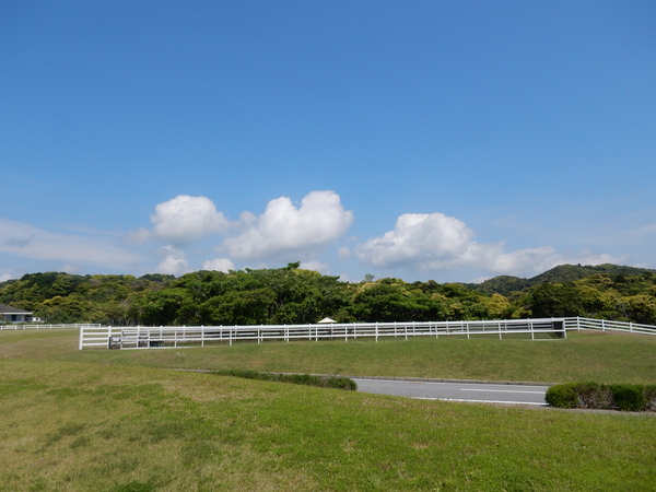 ’16,5,16(月)緑が目に眩しい~!_f0060461_13254476.jpg