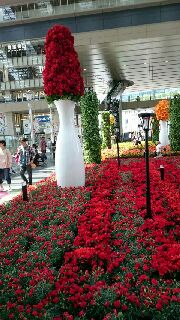 f0256164_12311368.jpg