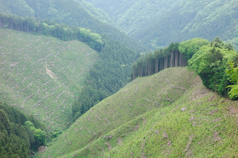 風張峠から藤倉、大ダワへ-1 2016年5月15日_d0123571_15254463.jpg