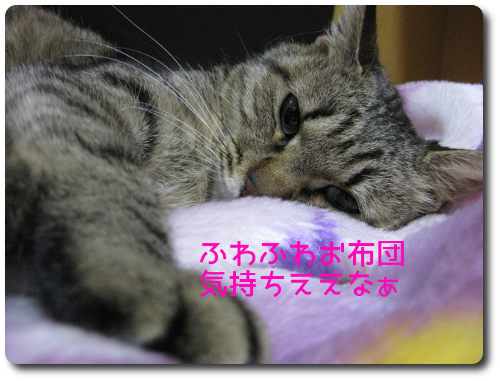 c0167175_2028761.png