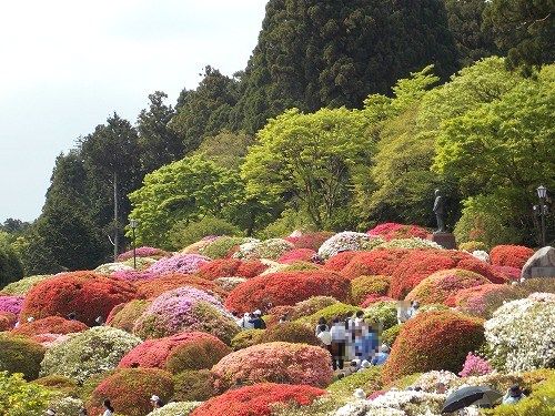 日帰りバスツァー　～山のホテルのツツジ～_e0055176_2134482.jpg