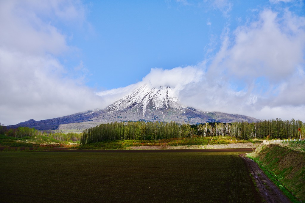 真狩村にて_c0240388_20413712.jpg