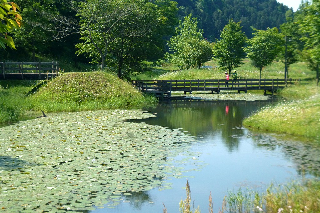 川 崎 城 跡 公 園_e0139788_204591.jpg