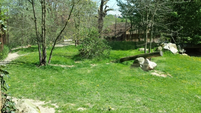 e0344492_17030116.jpg