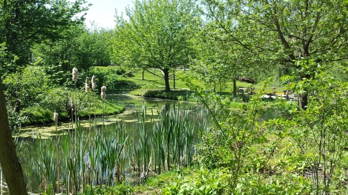 e0344492_17193505.jpg