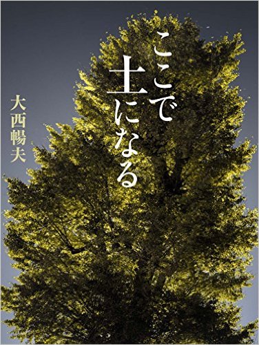 「ここで土になる」全国読書感想文コンクール課題図書に。_b0125397_14245264.jpg