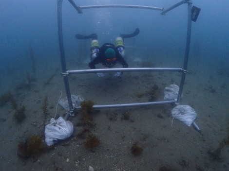 e0115199_14020292.jpg
