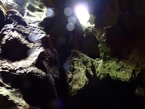 e0115199_14135055.jpg