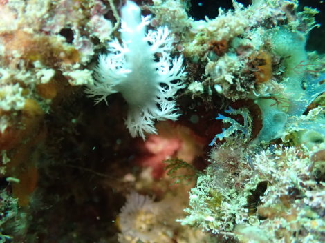 e0115199_14152989.jpg