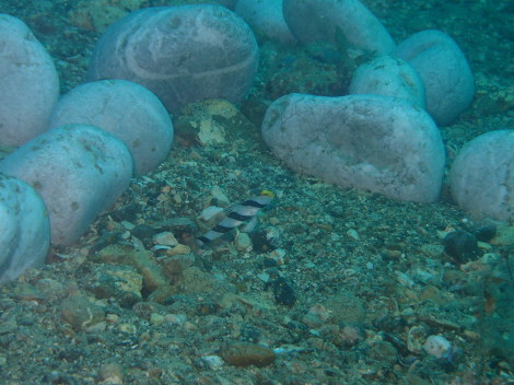 e0115199_14163311.jpg