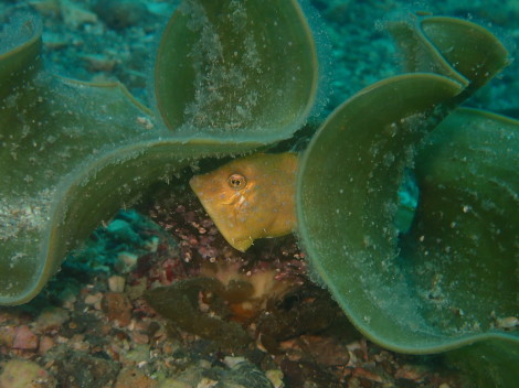 e0115199_14164011.jpg