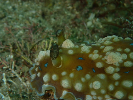 e0115199_14231661.jpg