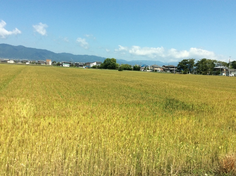 b0220002_17062290.jpeg