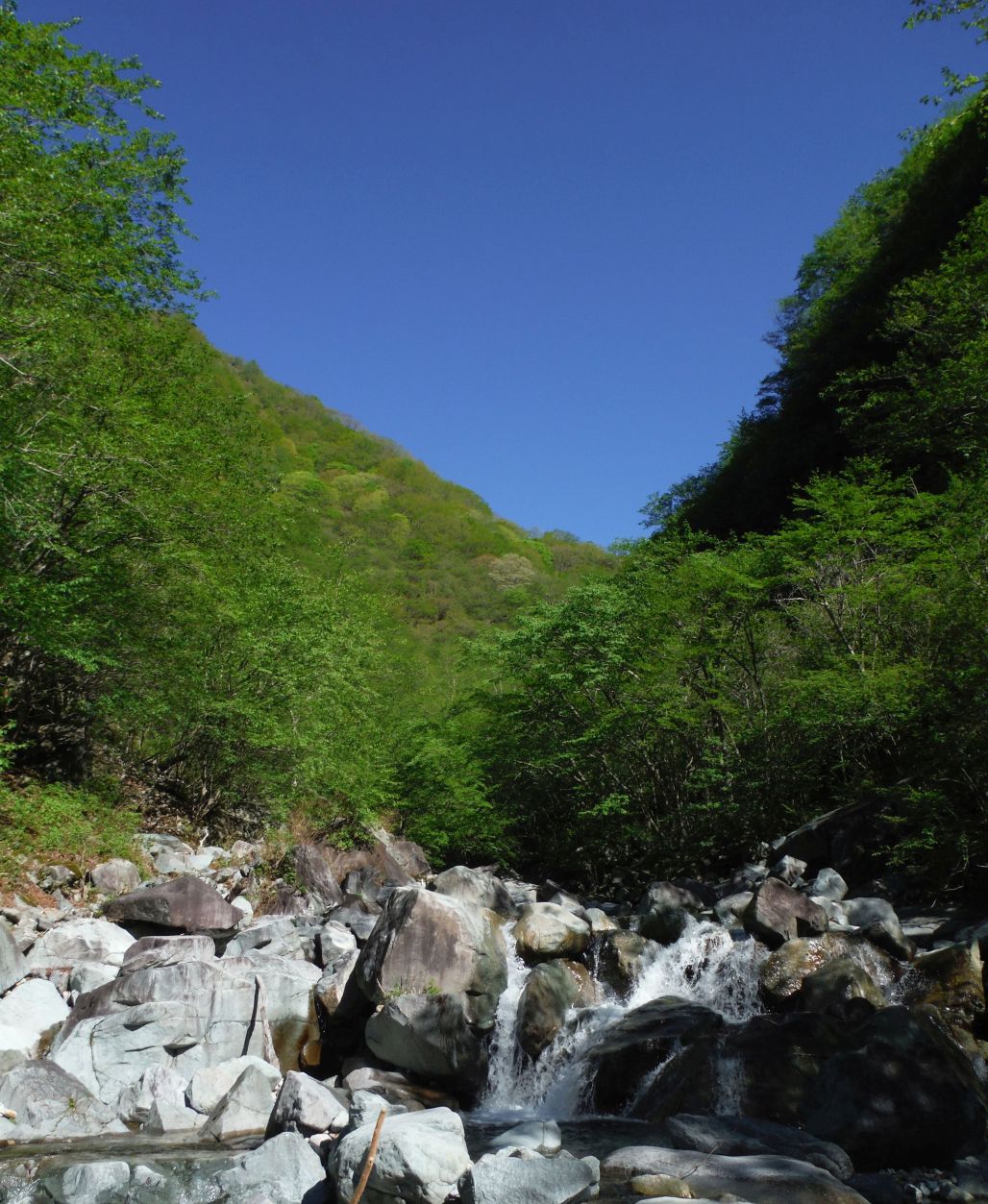 b0172805_742645.jpg